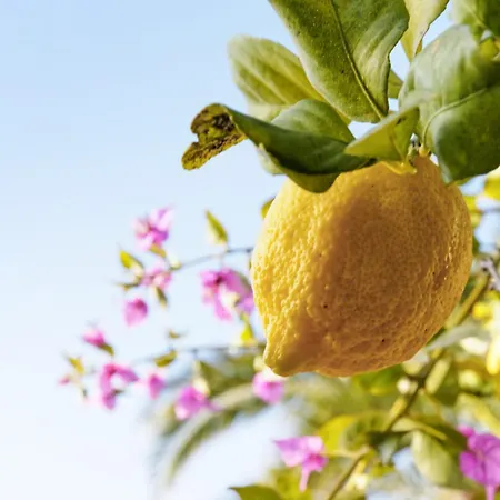 Aloe - Welkeys Apartamento