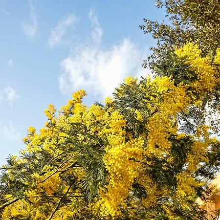 Apartamento Aloe - Welkeys