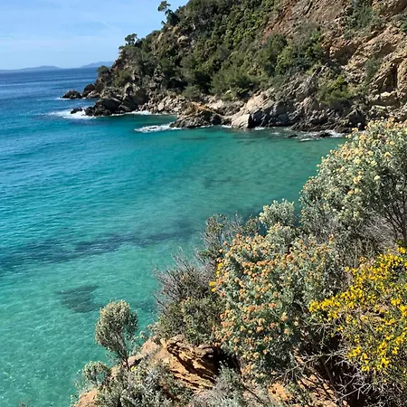 Aloe - Welkeys Cavalaire-sur-Mer