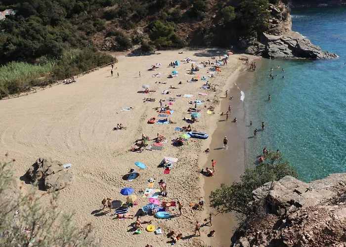 Aloe - Welkeys 카발레르쉬르메르