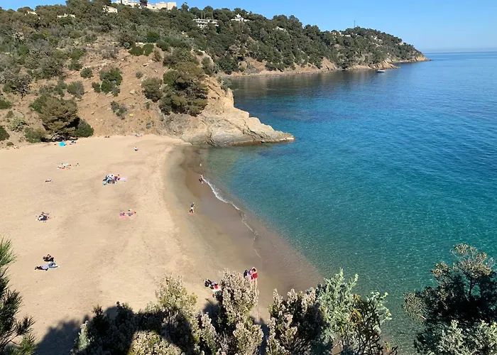 Aloe - Welkeys * 카발레르쉬르메르