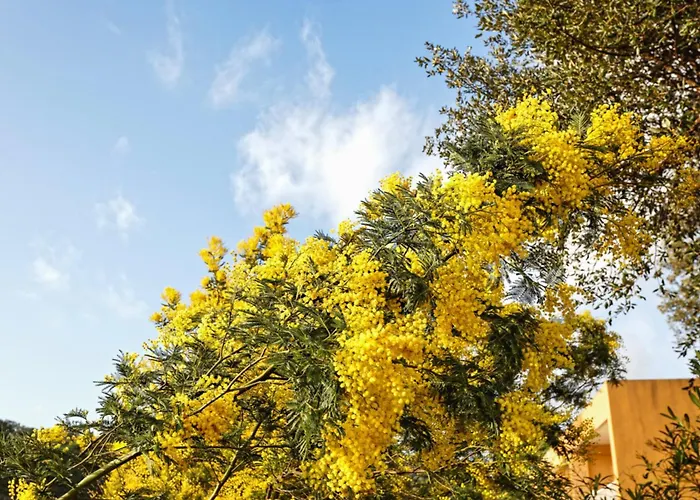 아파트 Aloe - Welkeys