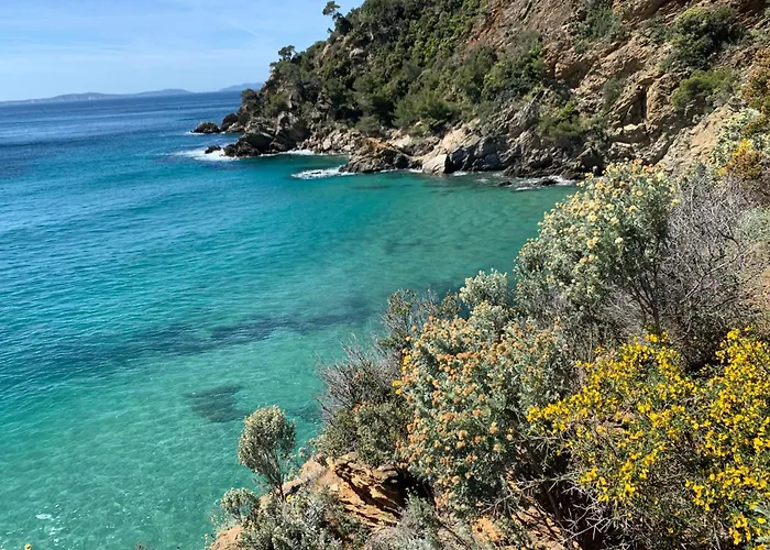 Aloe - Welkeys 카발레르쉬르메르